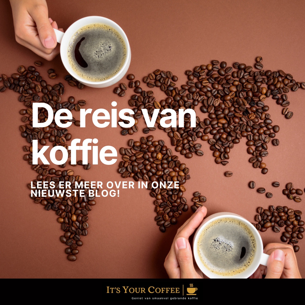 De reis van de koffieboon: Van plantage tot je koffiekop